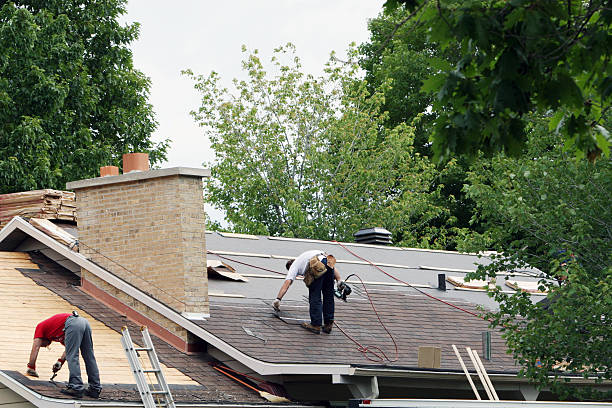 Best Shingle Roofing Installation  in Lake City, SC
